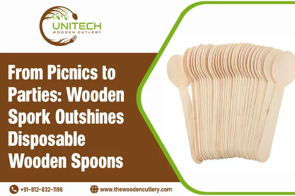 Wooden Spork vs Disposable Wooden Spoons